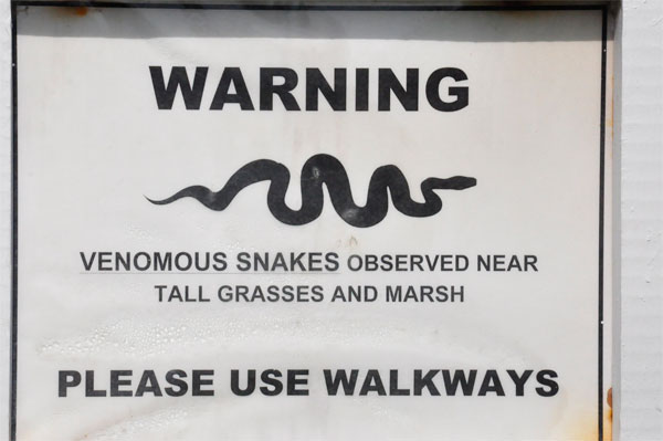 Venomous snake warning